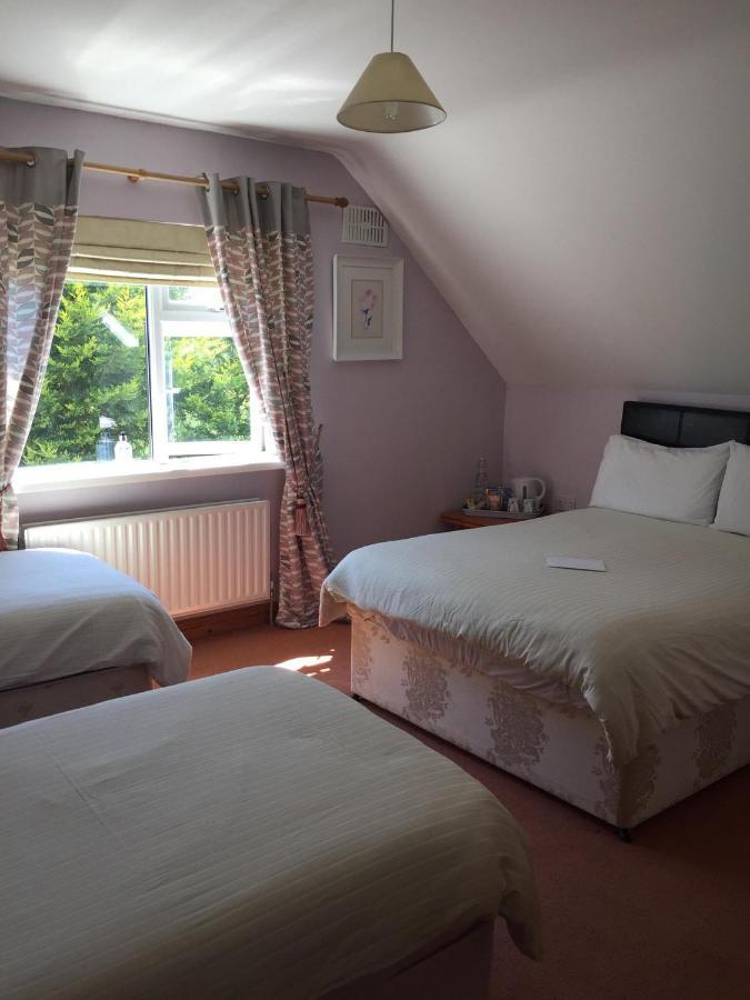 Padua Guest Accommodation Rosslare Rosslare Harbour Eksteriør billede