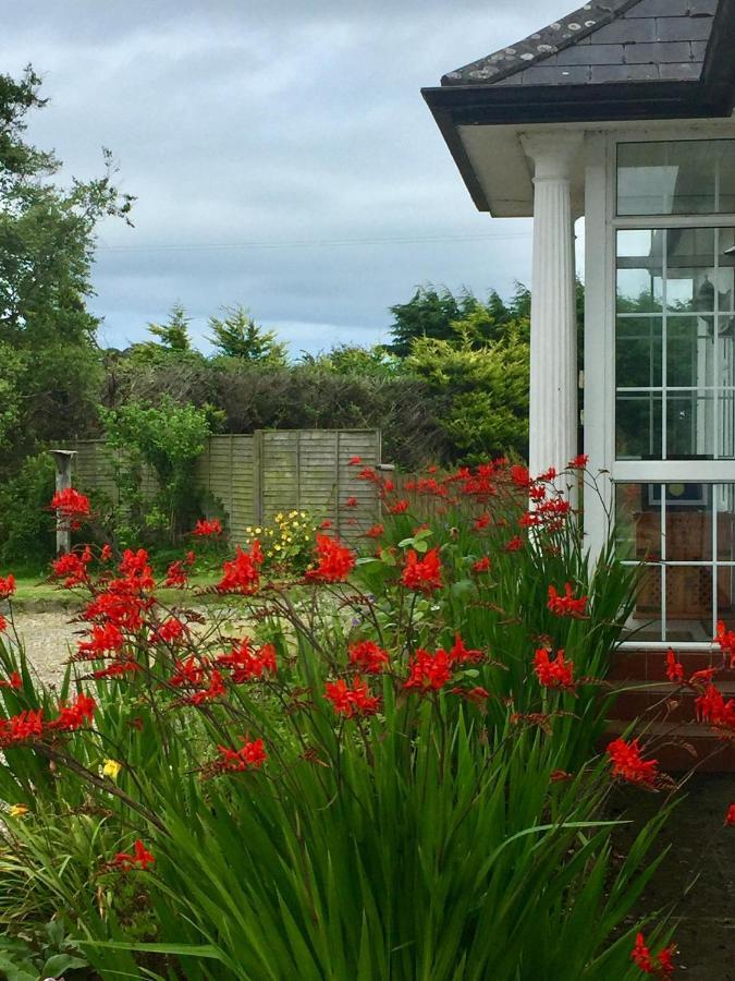 Padua Guest Accommodation Rosslare Rosslare Harbour Eksteriør billede