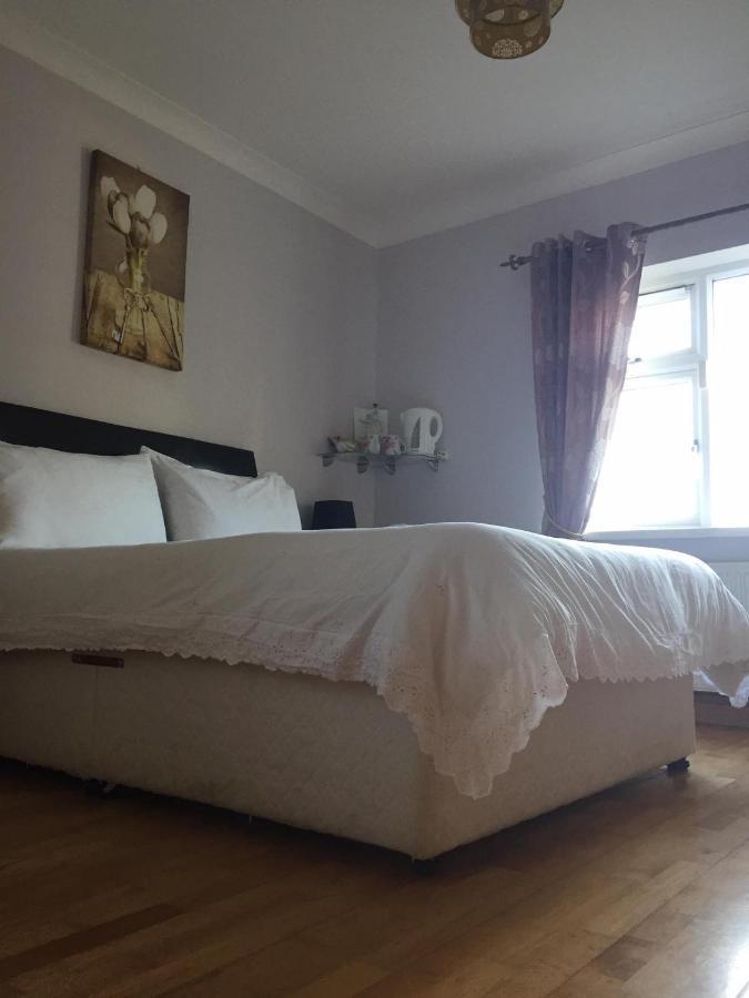 Padua Guest Accommodation Rosslare Rosslare Harbour Eksteriør billede