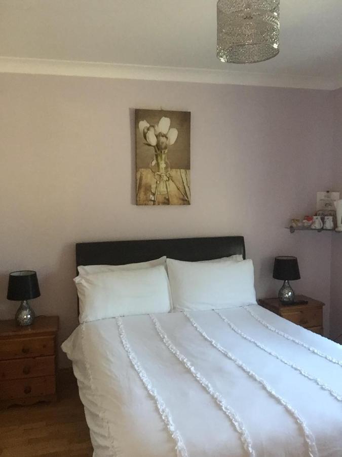 Padua Guest Accommodation Rosslare Rosslare Harbour Eksteriør billede