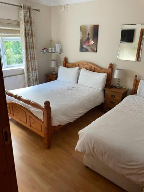 Padua Guest Accommodation Rosslare Rosslare Harbour Eksteriør billede